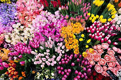 《工房库：噩梦历险记》 登陆Switch 经典奇幻名作