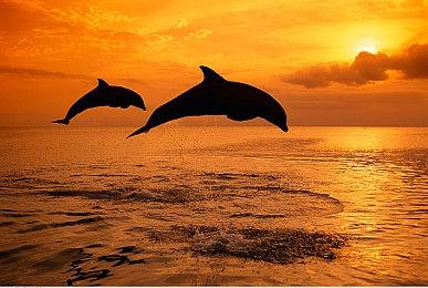 R星创始人：《GTA6》可能不会像之前那么前卫