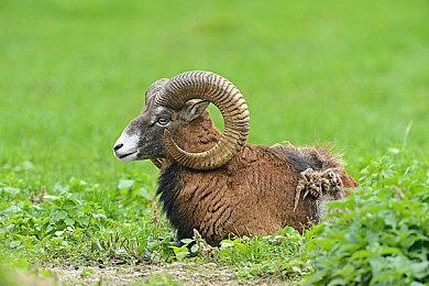 这操作！《NBA 2K25》在发售前夕加入D加密